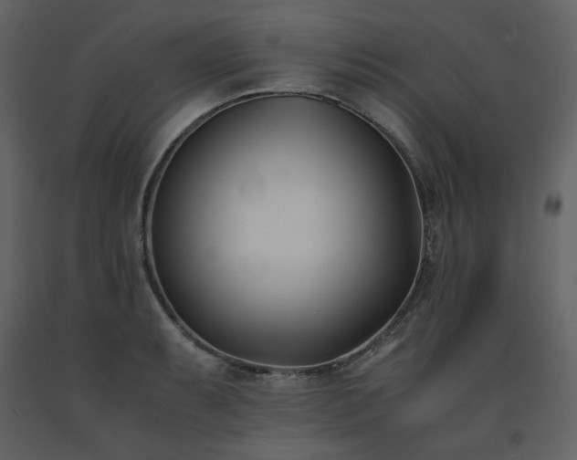 X0000091661087200708231300