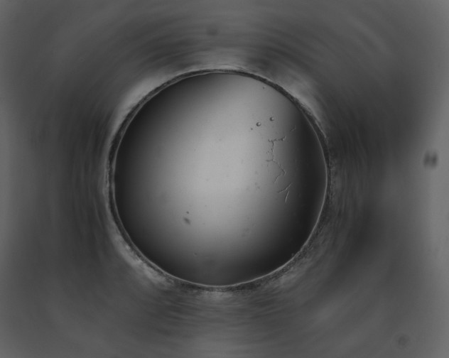 X0000091661088200708231300