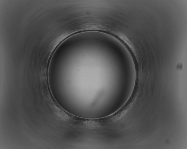X0000091661089200708231300