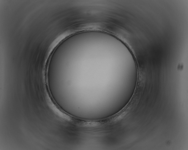X0000091661090200708231300