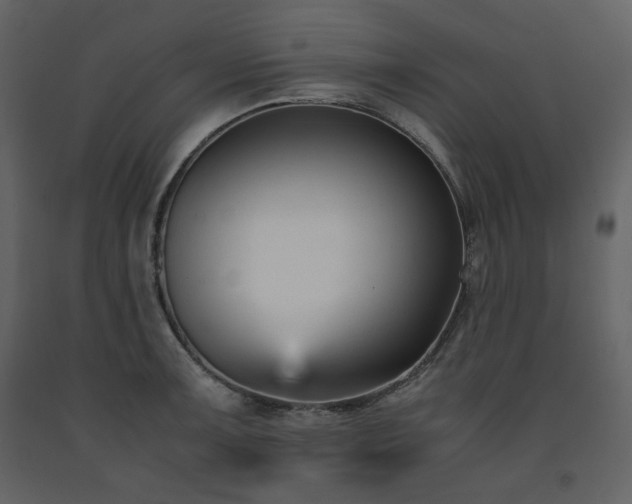 X0000091661091200708231300