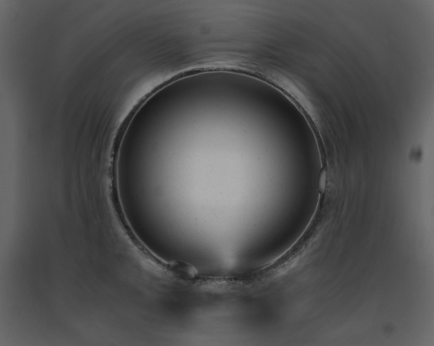 X0000091661093200708231300