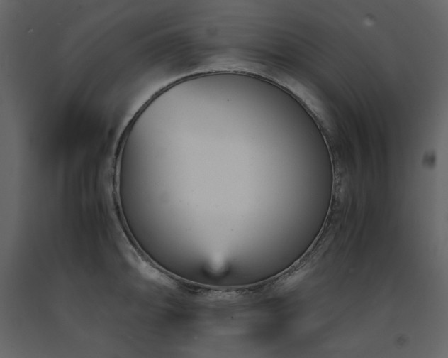 X0000091661094200708231300