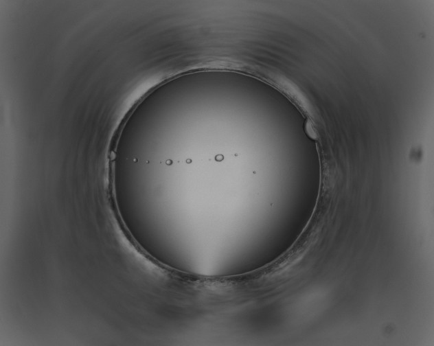 X0000091661095200708231300