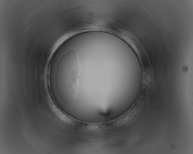 X0000091661098200708231300