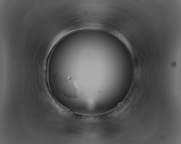 X0000091661099200708231300