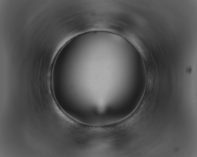 X0000091661100200708231300