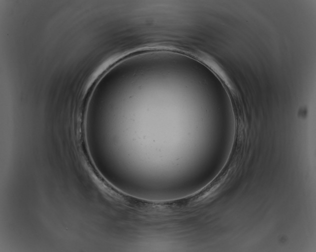 X0000091661101200708231259