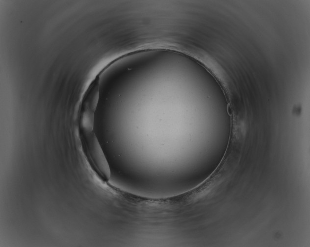 X0000091661102200708231259