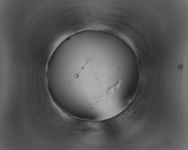X0000091661103200708231259