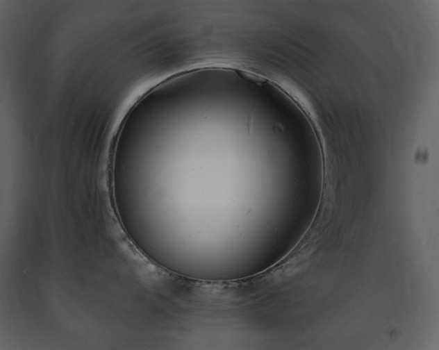 X0000091661104200708231259