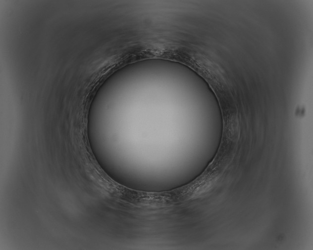 X0000091661105200708231259