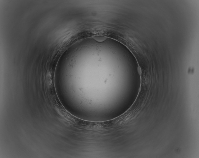 X0000091661106200708231259