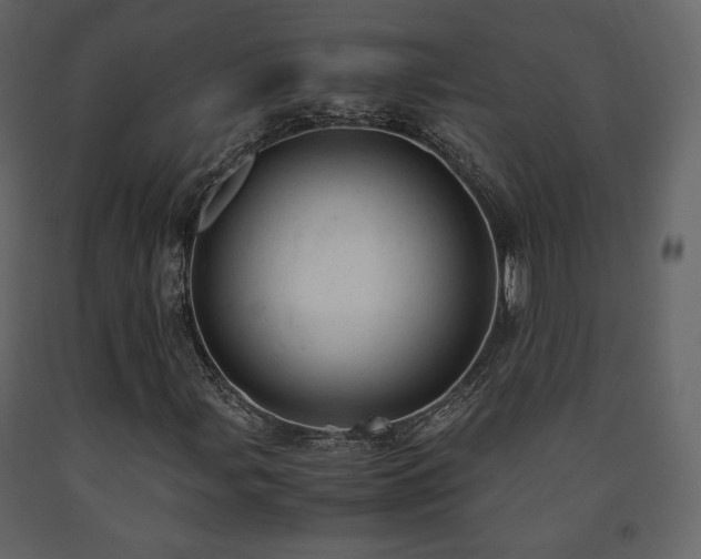 X0000091661107200708231259