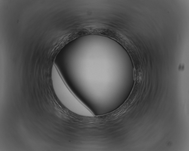 X0000091661108200708231259