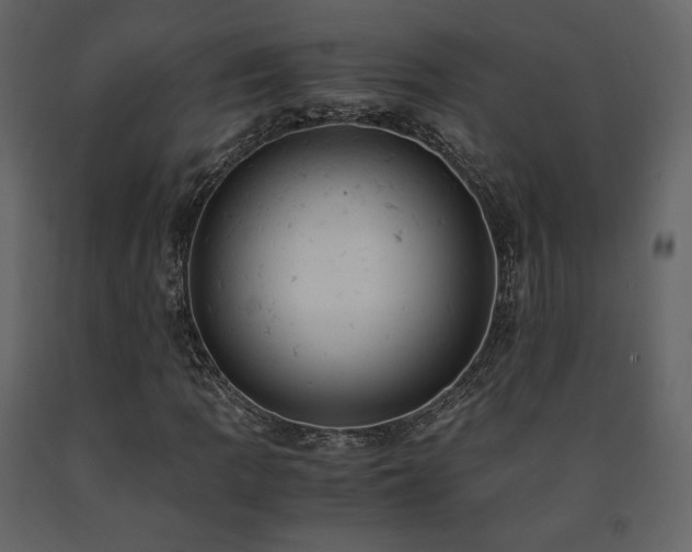 X0000091661109200708231259