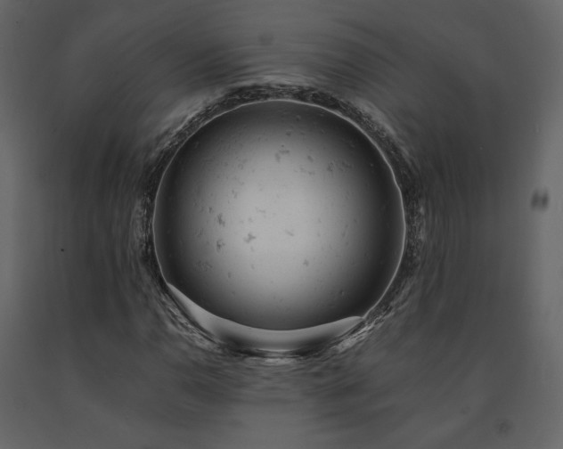 X0000091661110200708231259