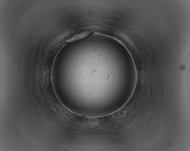 X0000091661111200708231259