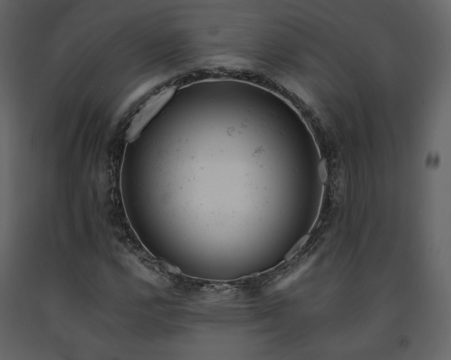 X0000091661112200708231259