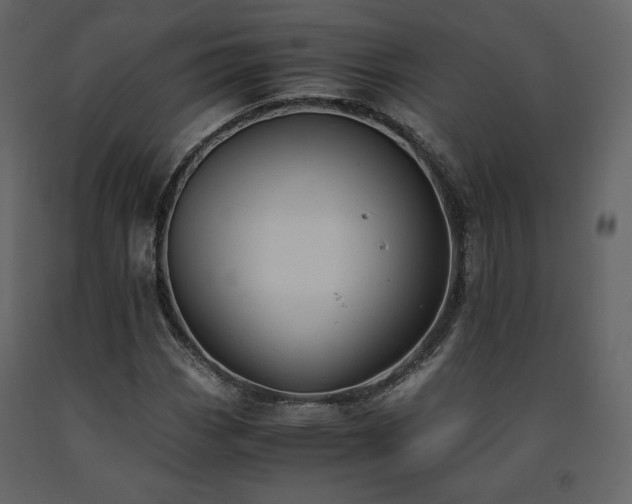 X0000091661113200708231259