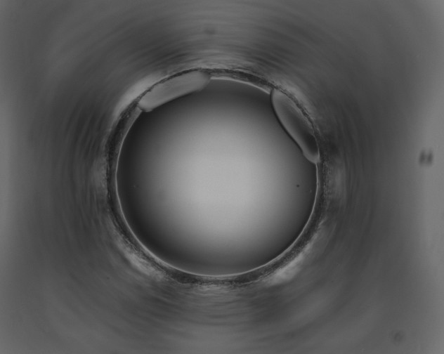 X0000091661114200708231259