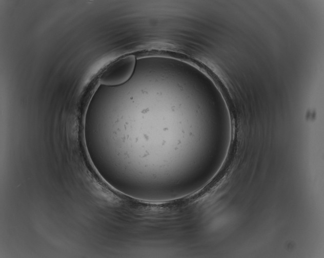 X0000091661115200708231259