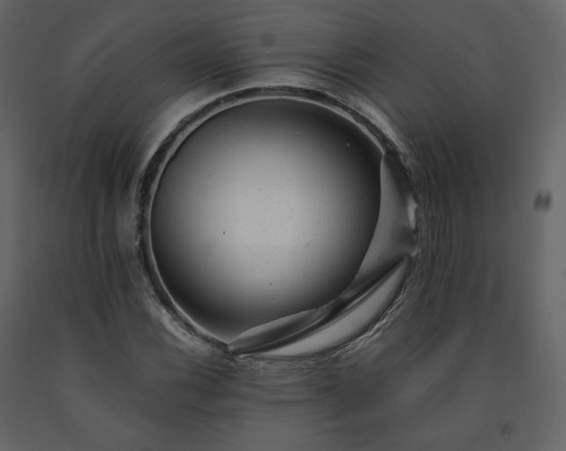 X0000091661116200708231259