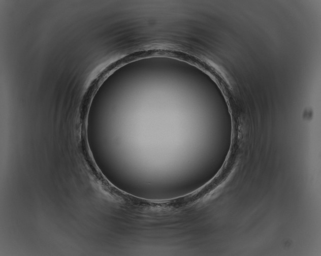 X0000091661117200708231259
