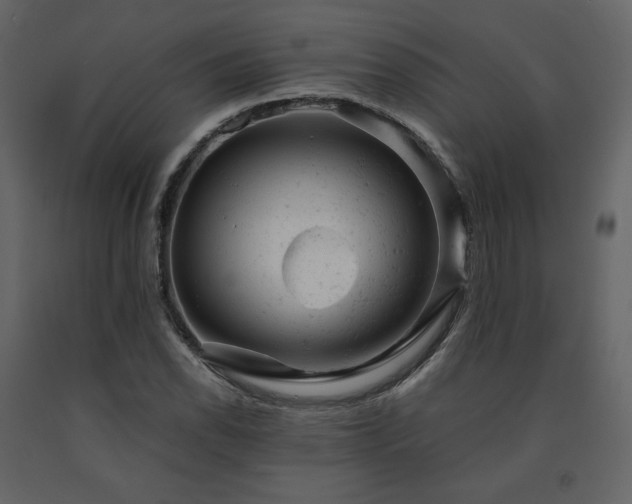 X0000091661118200708231259