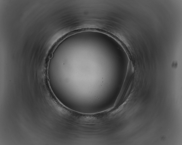 X0000091661119200708231259