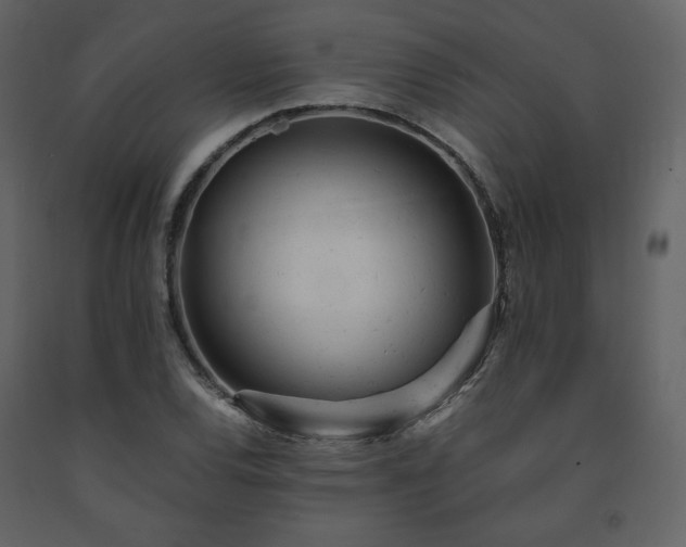 X0000091661120200708231259
