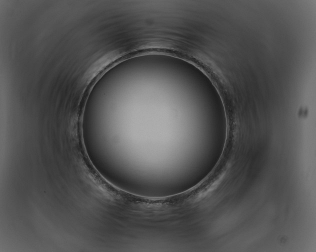 X0000091661121200708231259