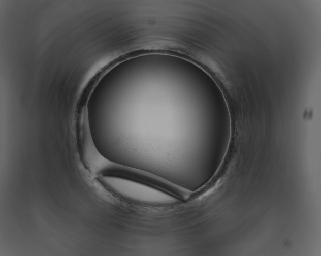 X0000091661122200708231259