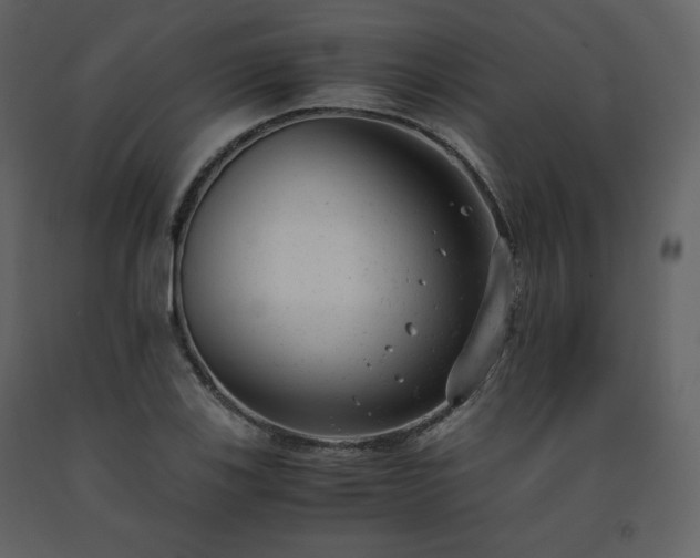 X0000091661123200708231259