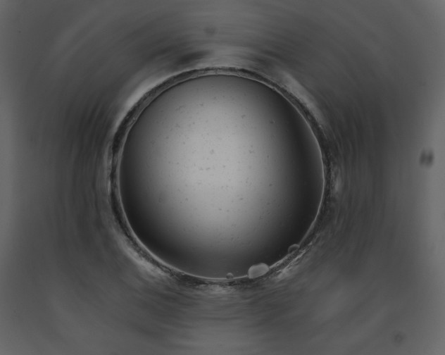 X0000091661124200708231259