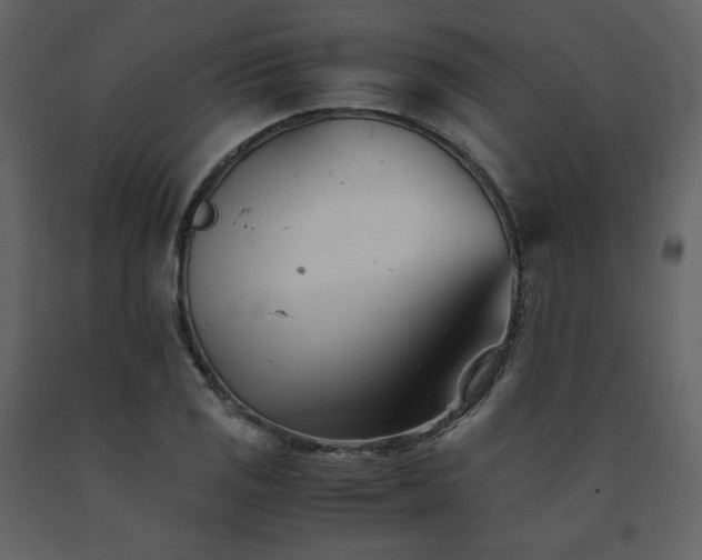 X0000091661125200708231259