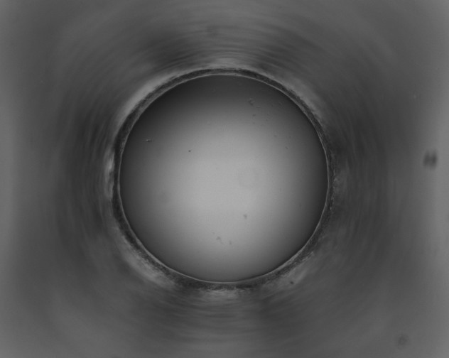 X0000091661126200708231259