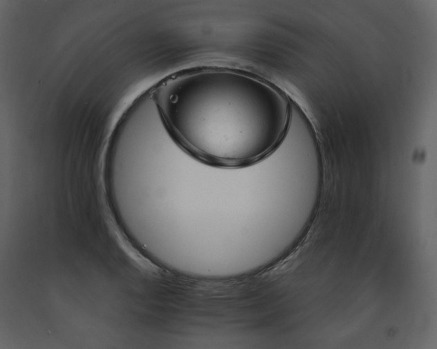 X0000091661128200708231259