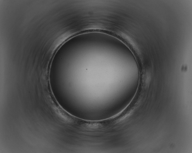 X0000091661129200708231259