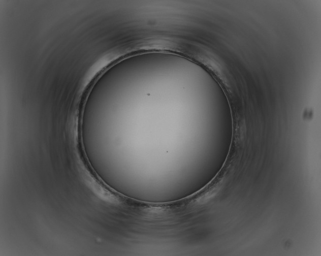 X0000091661130200708231259