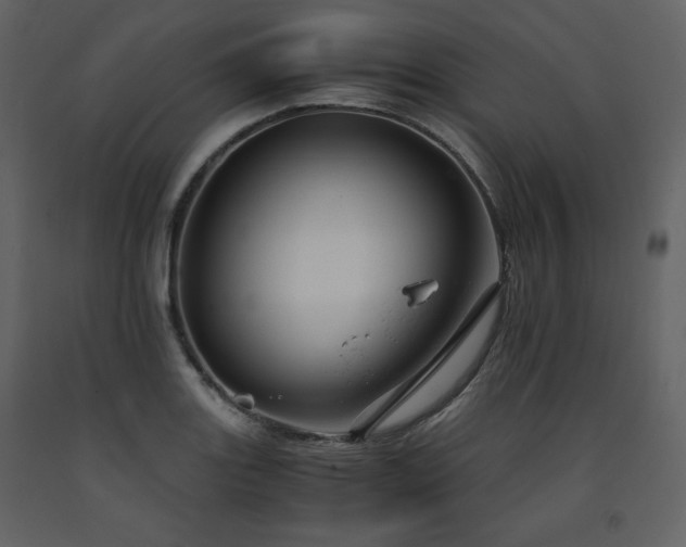X0000091661131200708231259