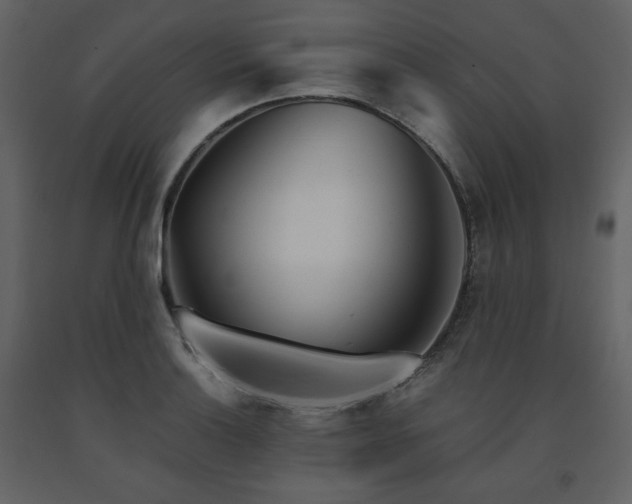 X0000091661132200708231259