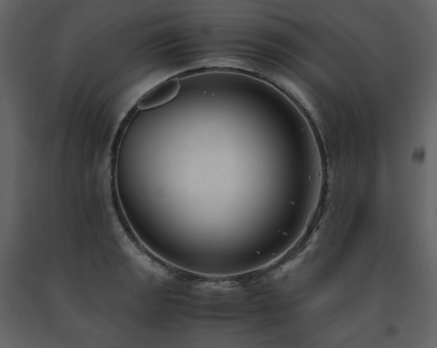 X0000091661133200708231259