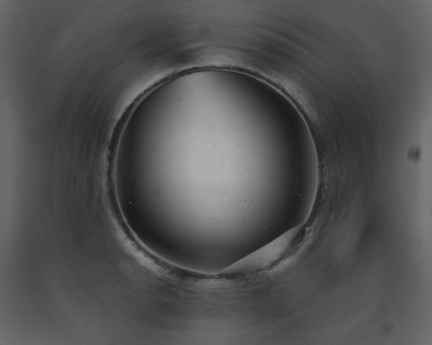 X0000091661134200708231259