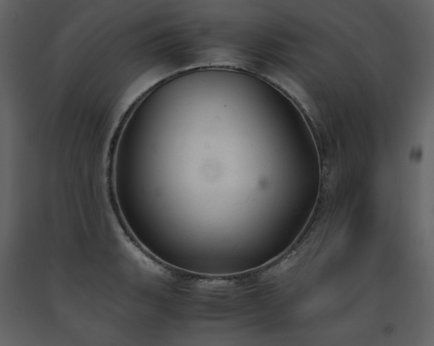 X0000091661135200708231259