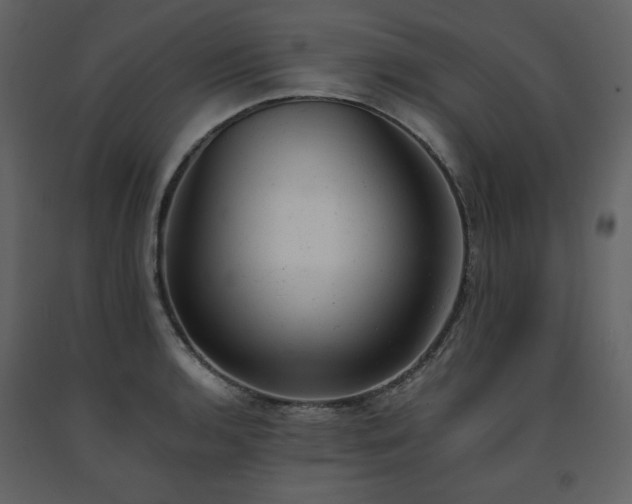 X0000091661136200708231259