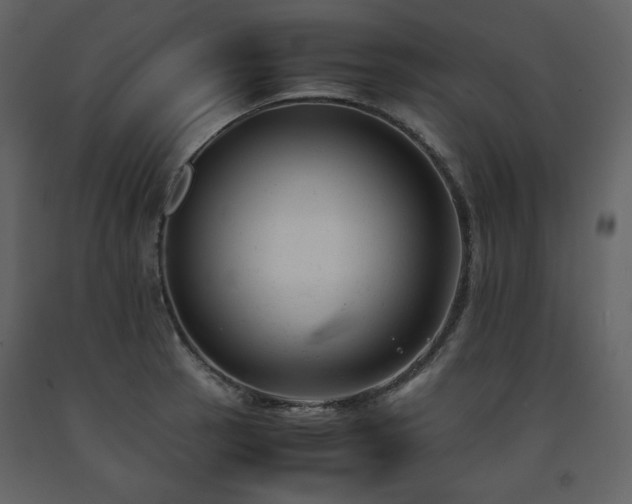 X0000091661137200708231259