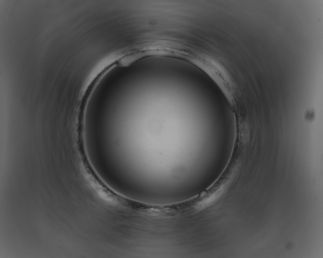 X0000091661138200708231259