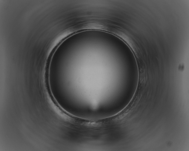 X0000091661139200708231259