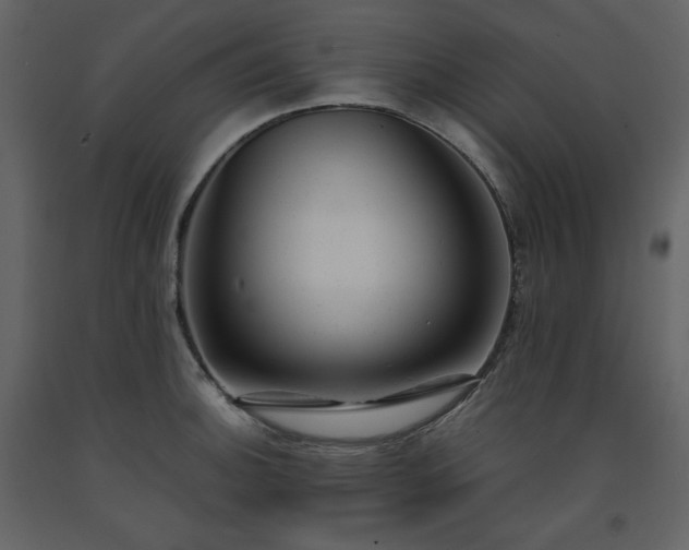 X0000091661140200708231259
